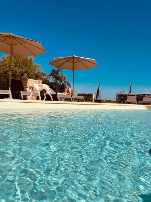 Dome Insolite Cedre Jacuzzi Et Petits Dejeuners Inclus *