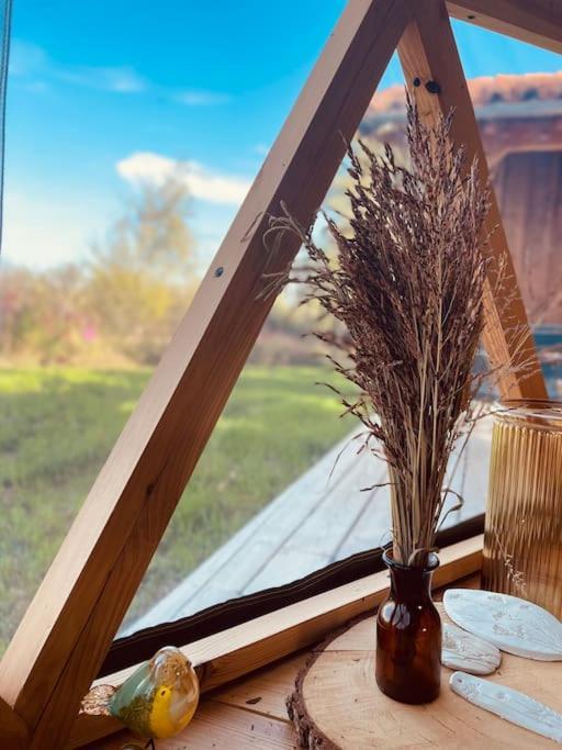 Dome Insolite Cedre Jacuzzi Et Petits Dejeuners Inclus Lagraulet-du-Gers