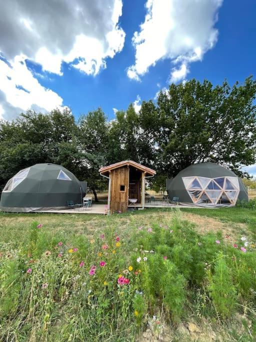 Dome Insolite Cedre Jacuzzi Et Petits Dejeuners Inclus *