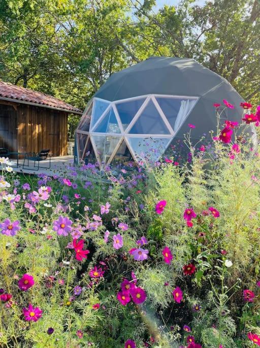 Dome Insolite Cedre Jacuzzi Et Petits Dejeuners Inclus Luxury tent
