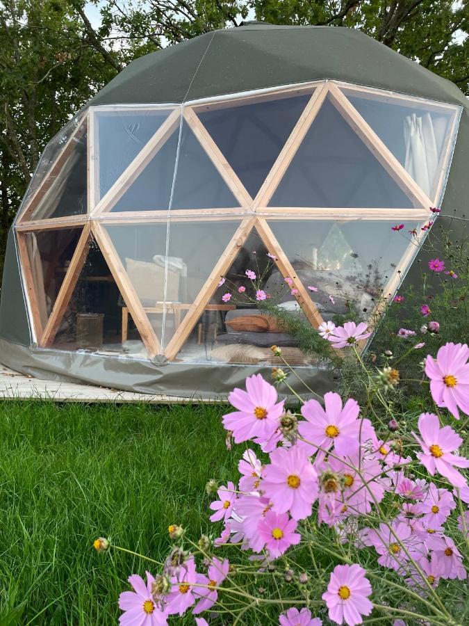 Dome Insolite Cedre Jacuzzi Et Petits Dejeuners Inclus Luxury tent